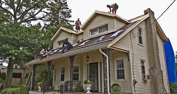 Best Metal Roofing Contractor  in Syracuse, IN